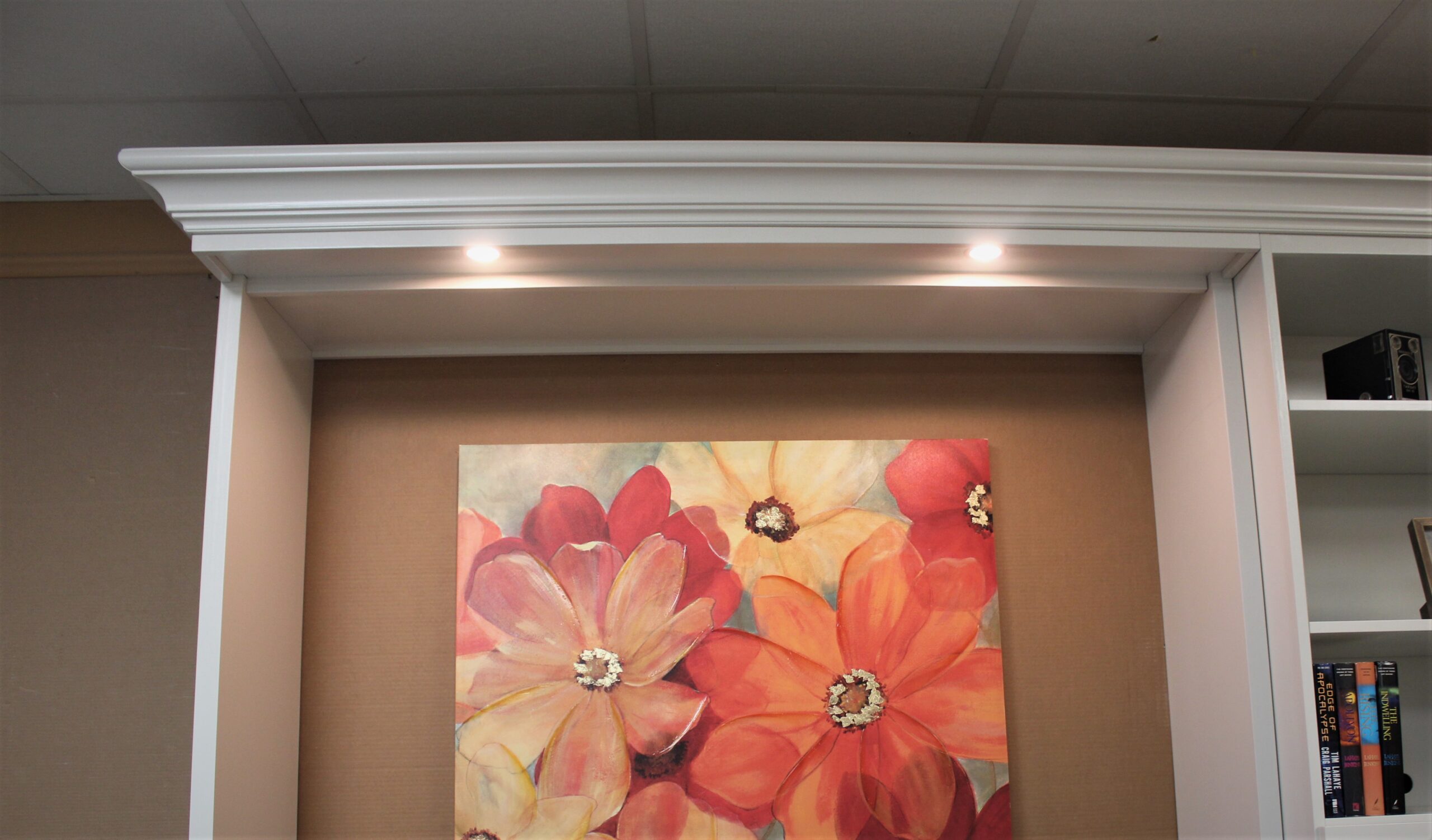 SW Crushed Ice Templeton LED Outset Murphy Bed Lights