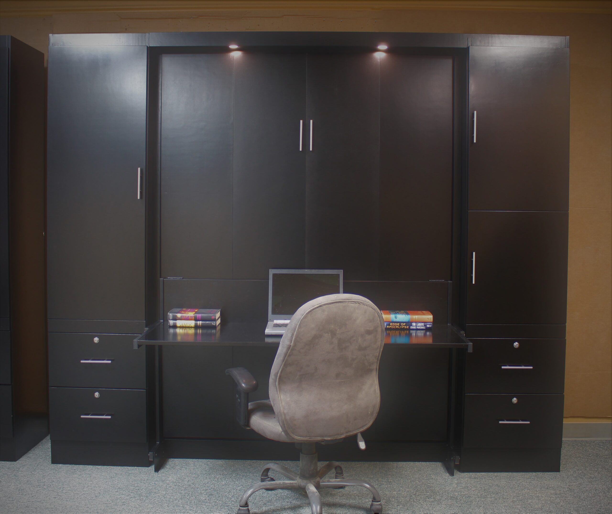 Alpine Murphy Bed Front Closed