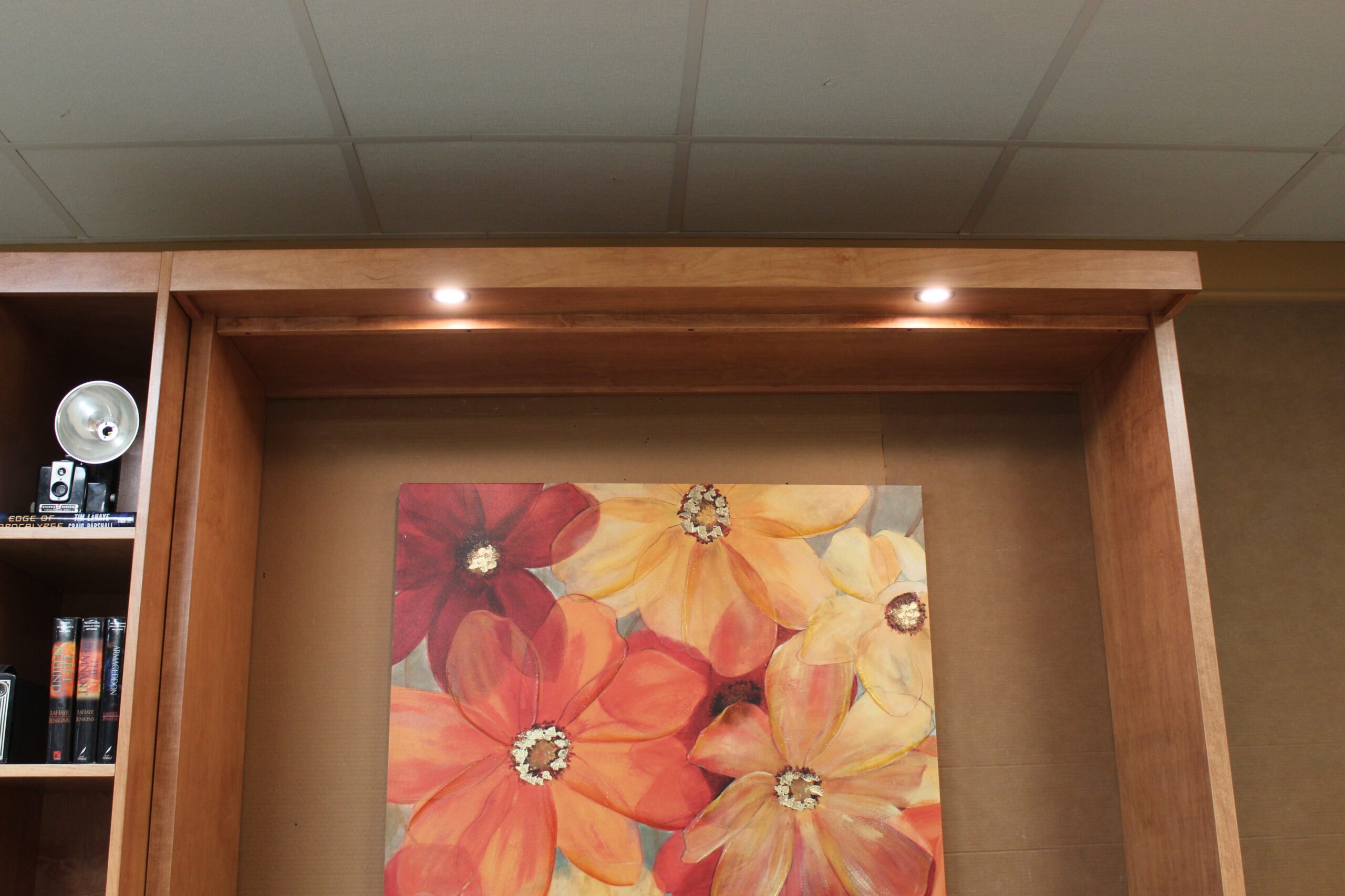 Alpine Murphy Bed LED Outset Lights