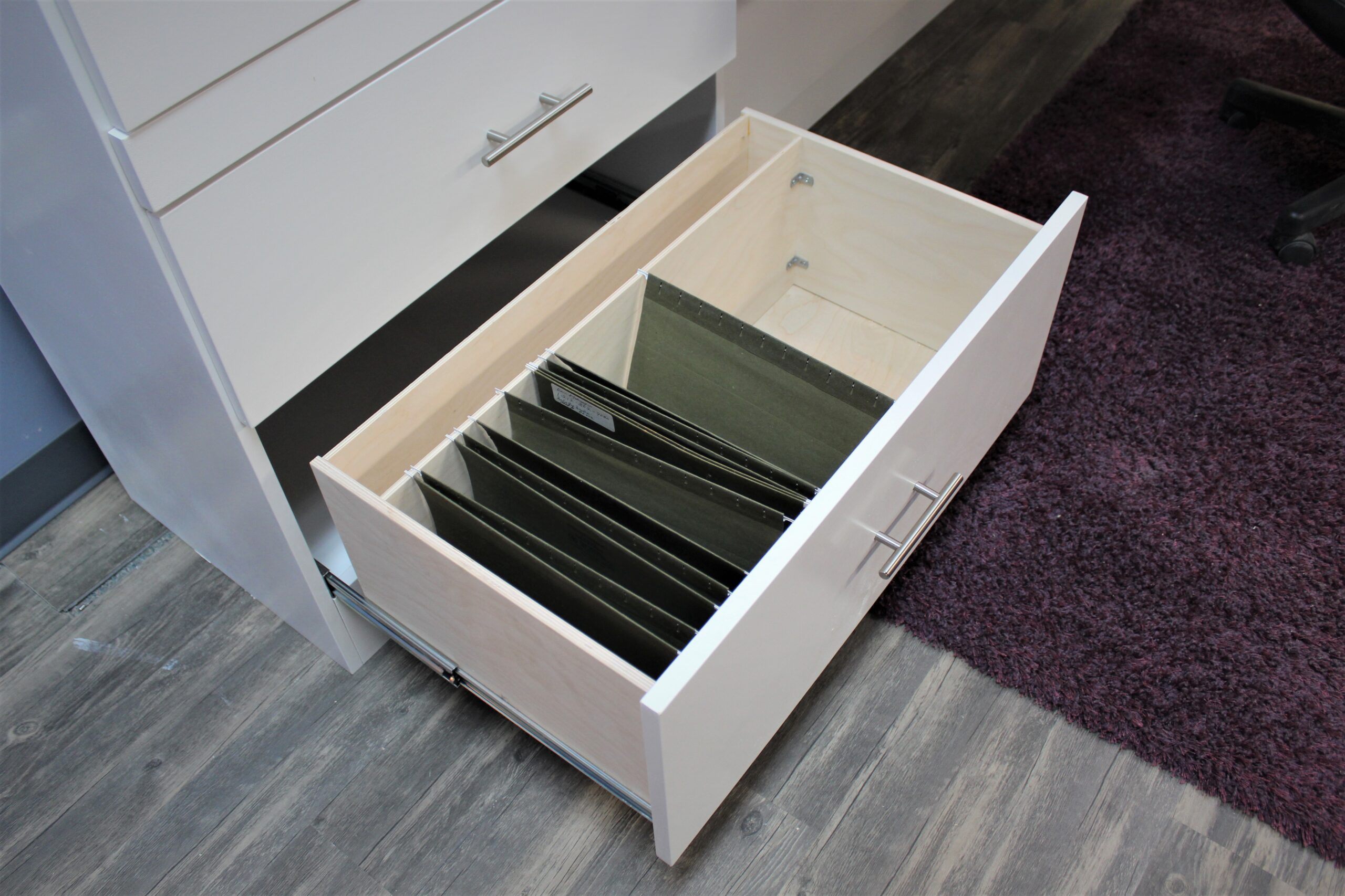 Ginsburg Murphy Bed Bookcase File Drawers Left Side