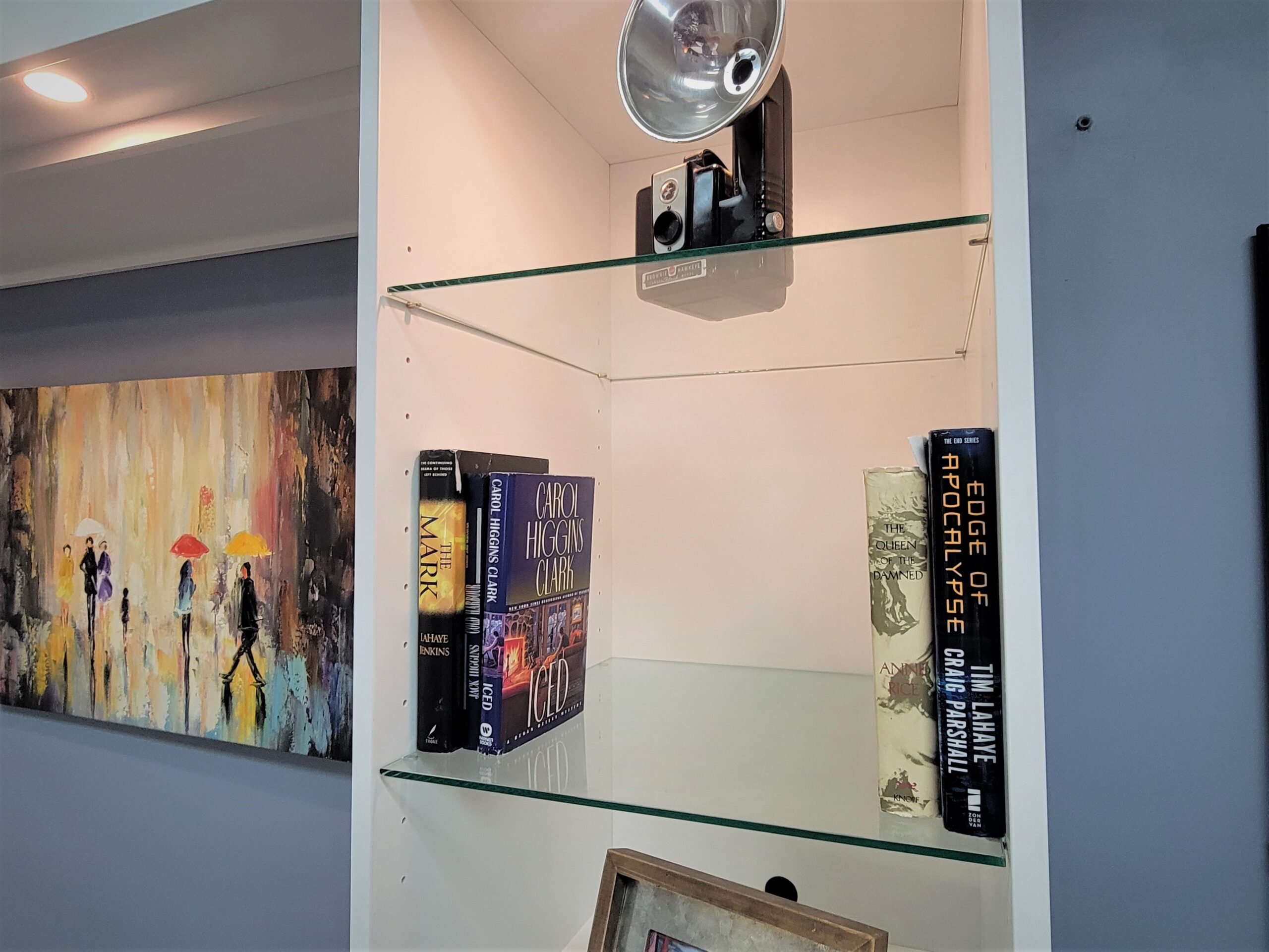 Alpine Murphy Bed Glass Shelves in Bookcases