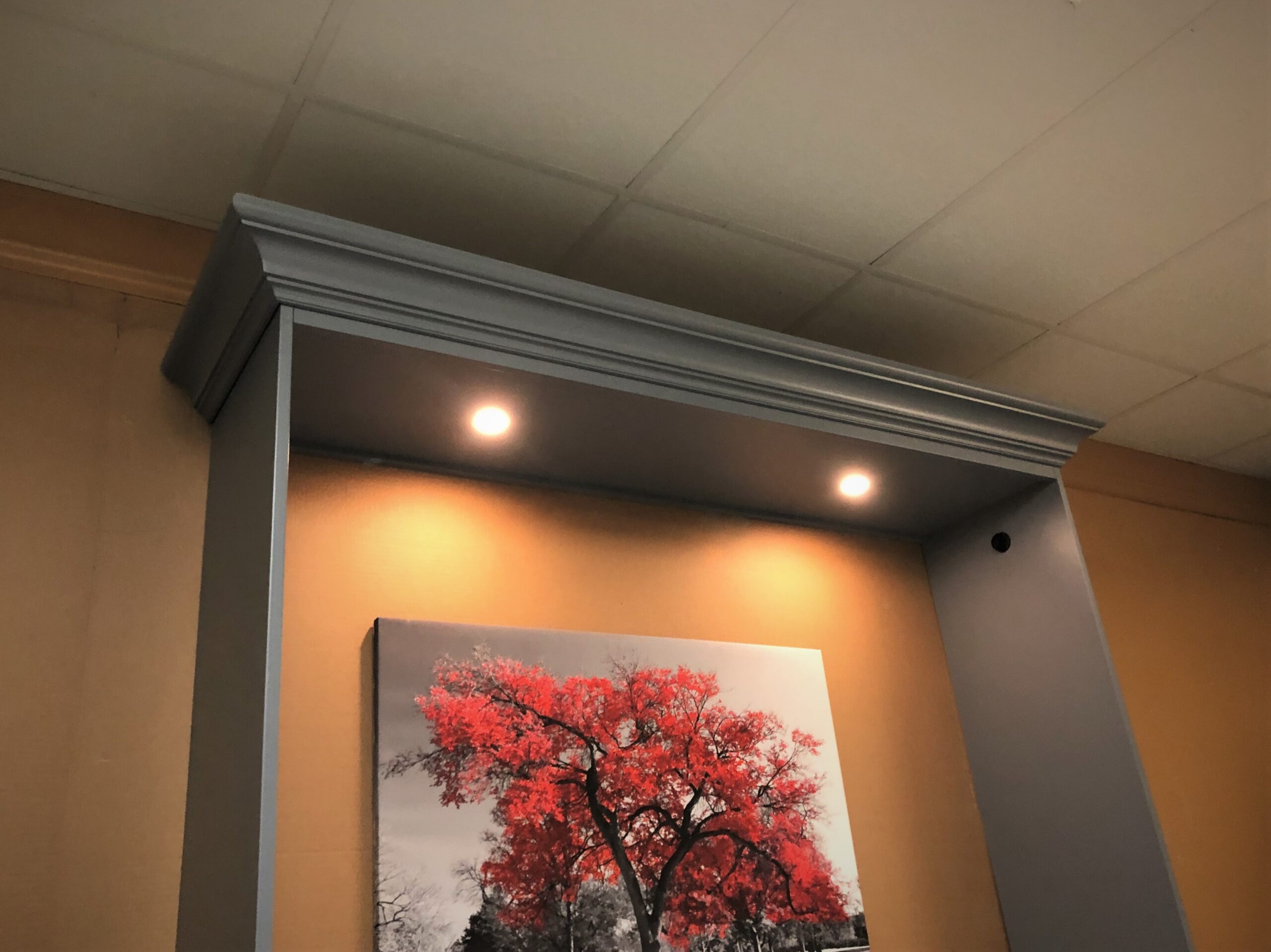 Smithsonian with Inset Desk LED Inset Murphy Bed Lights