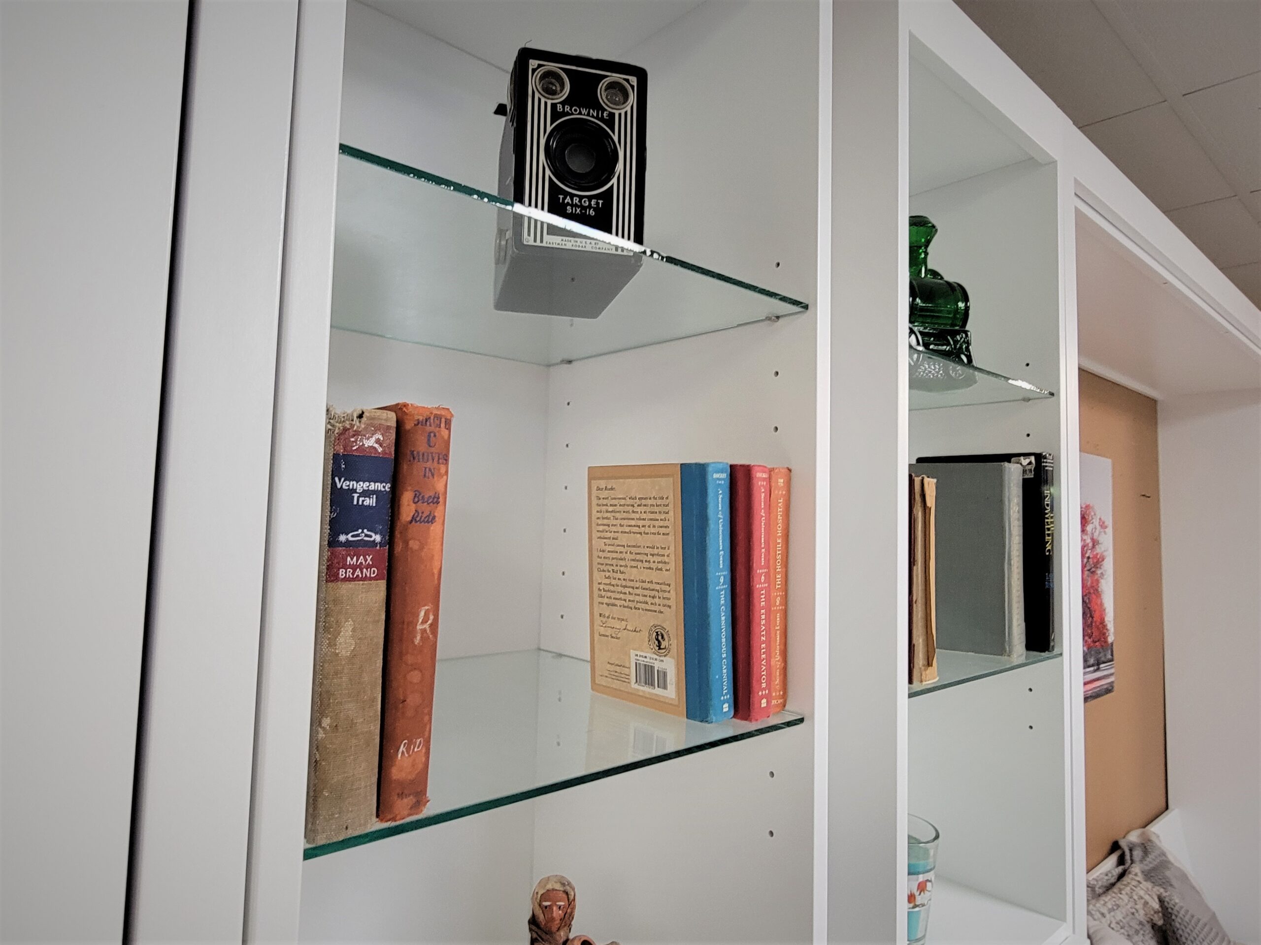 King Manhattan Murphy Bed Close-up of Glass Shelves