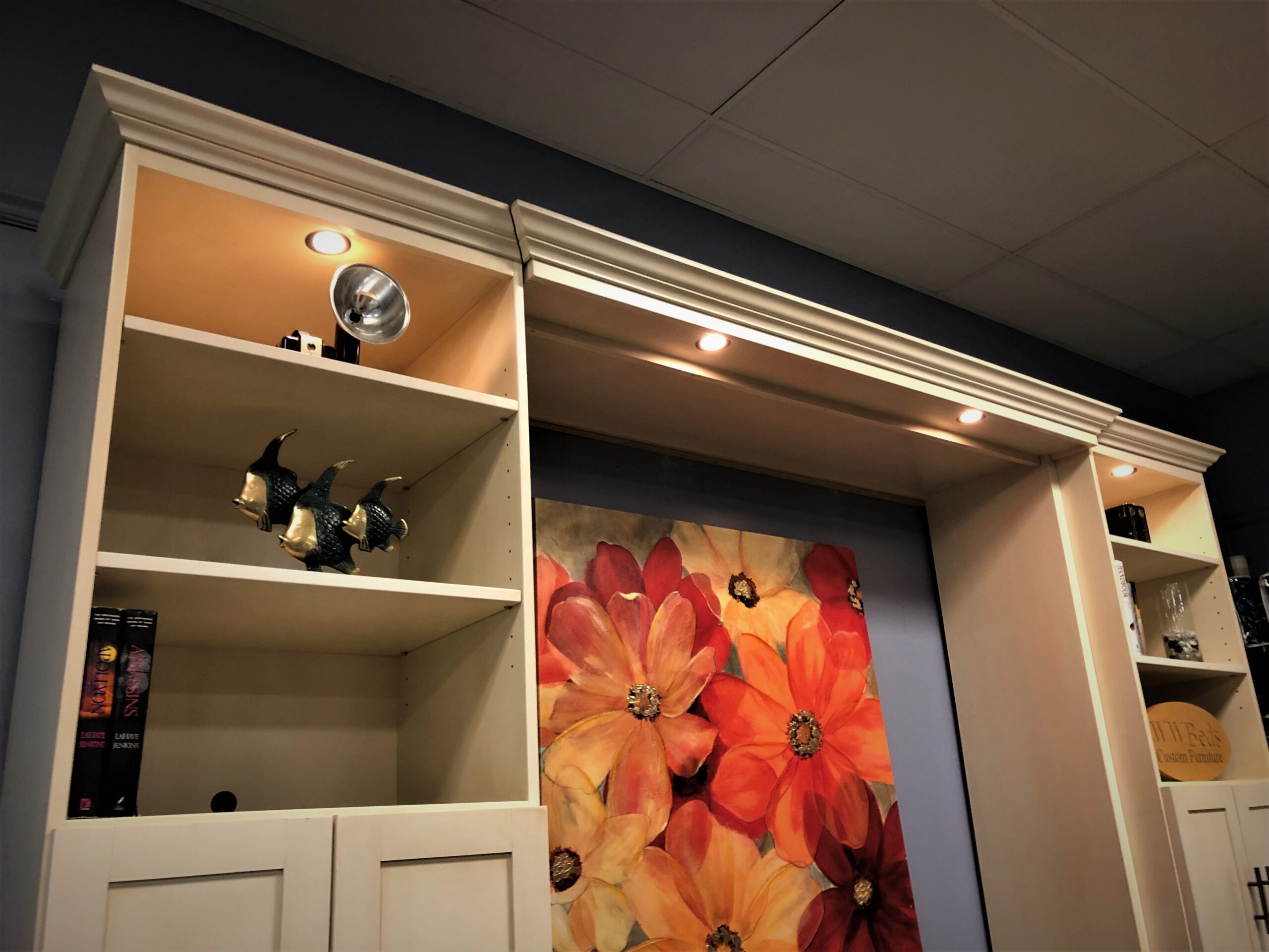 Designer Glaze Templeton LED Outset Murphy Bed Lights and LED Bookcase Lights