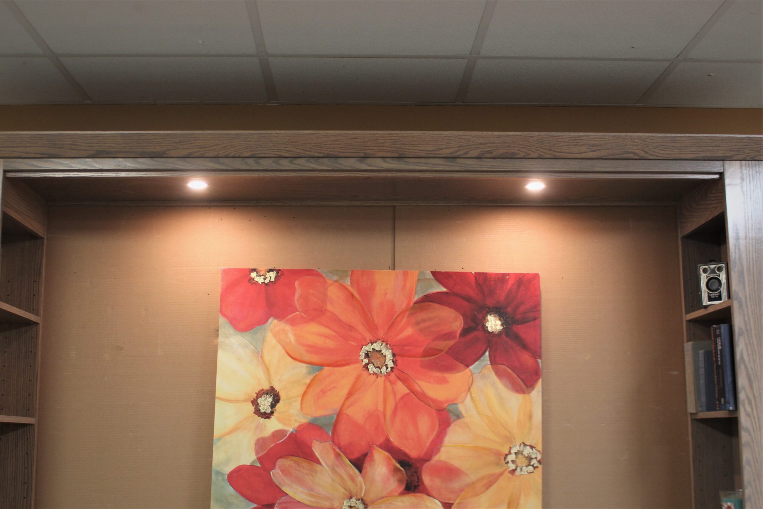 Templeton Sofa Murphy Bed with LED Inset Murphy Bed Lights