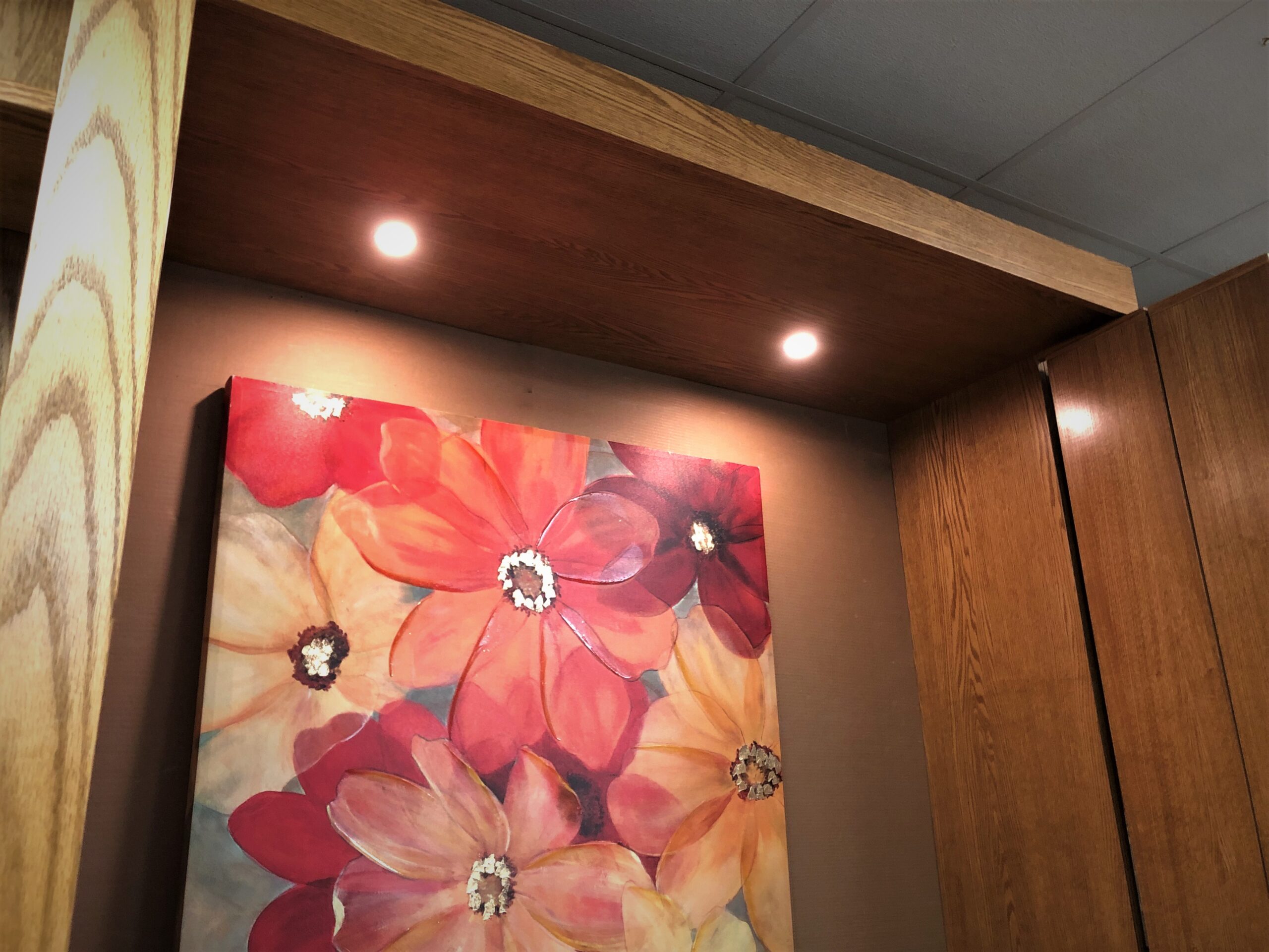 Pivoting Bookcase Murphy Bed LED Inset Murphy Bed Lights