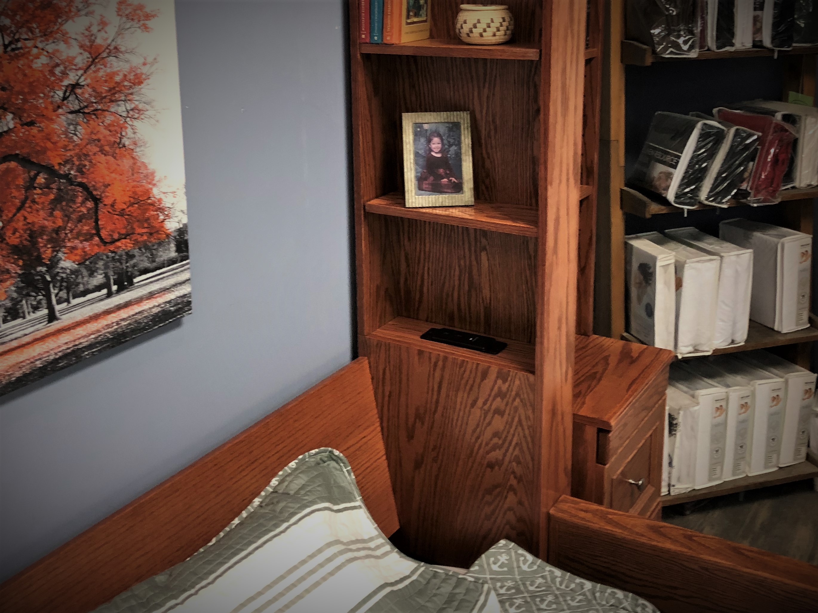 Jordan Sofa Murphy Bed Inset Bookcases Shown