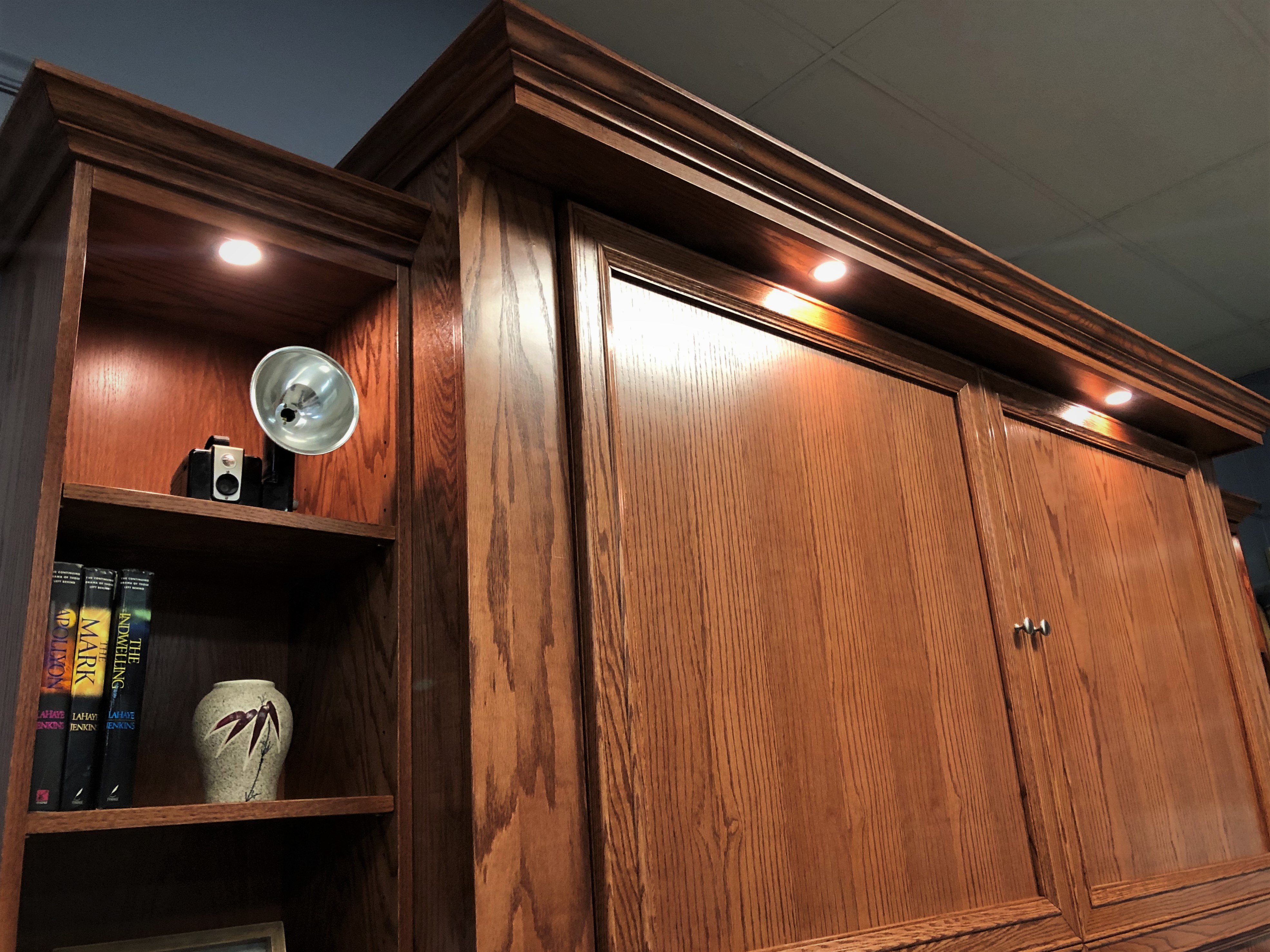 Jordan Sofa Murphy Bed LED Lights in Bed and Bookcase