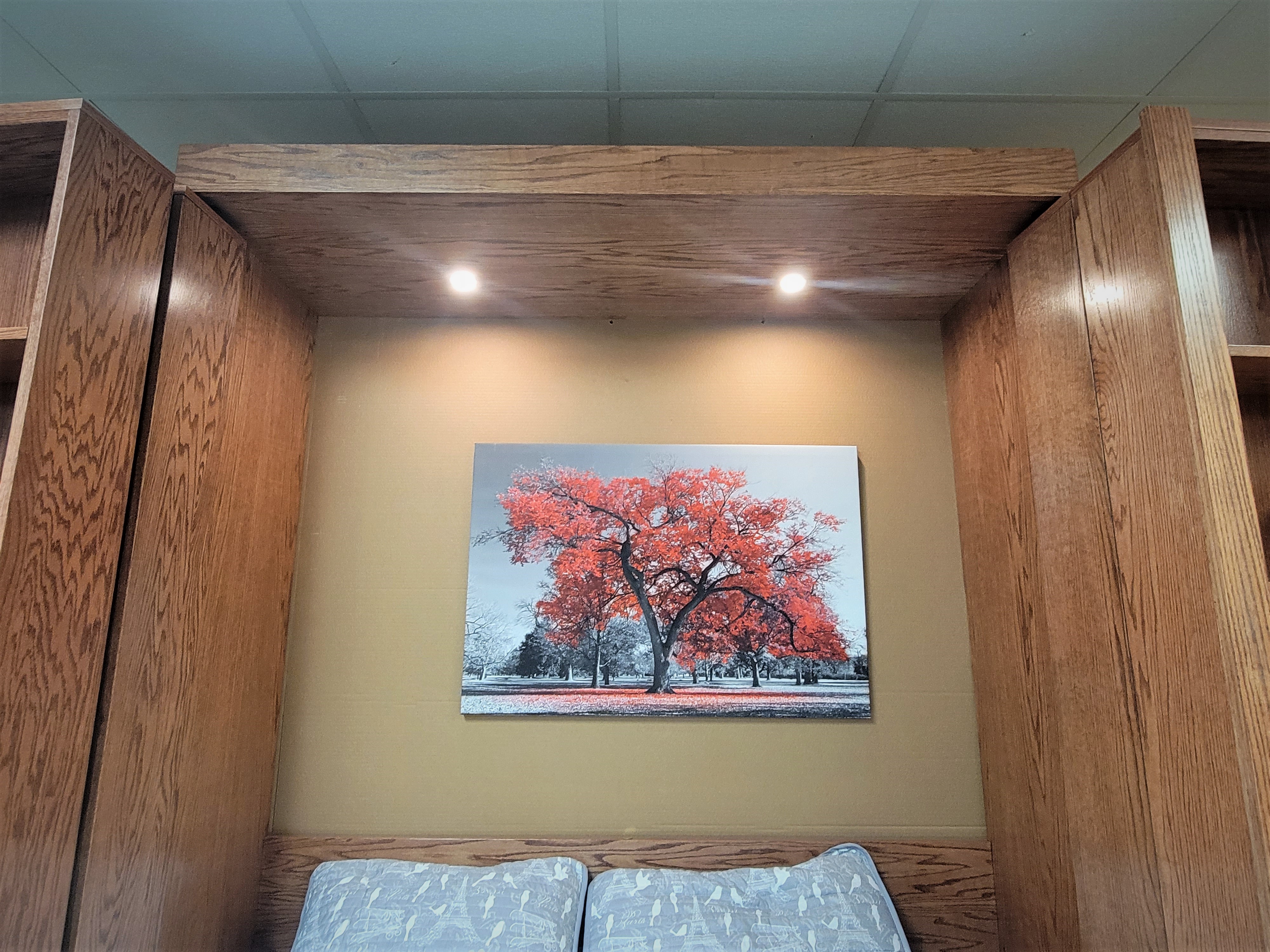 Red Chestnut Pivoting Bookcase Murphy Bed LED Inset Murphy Bed Lights