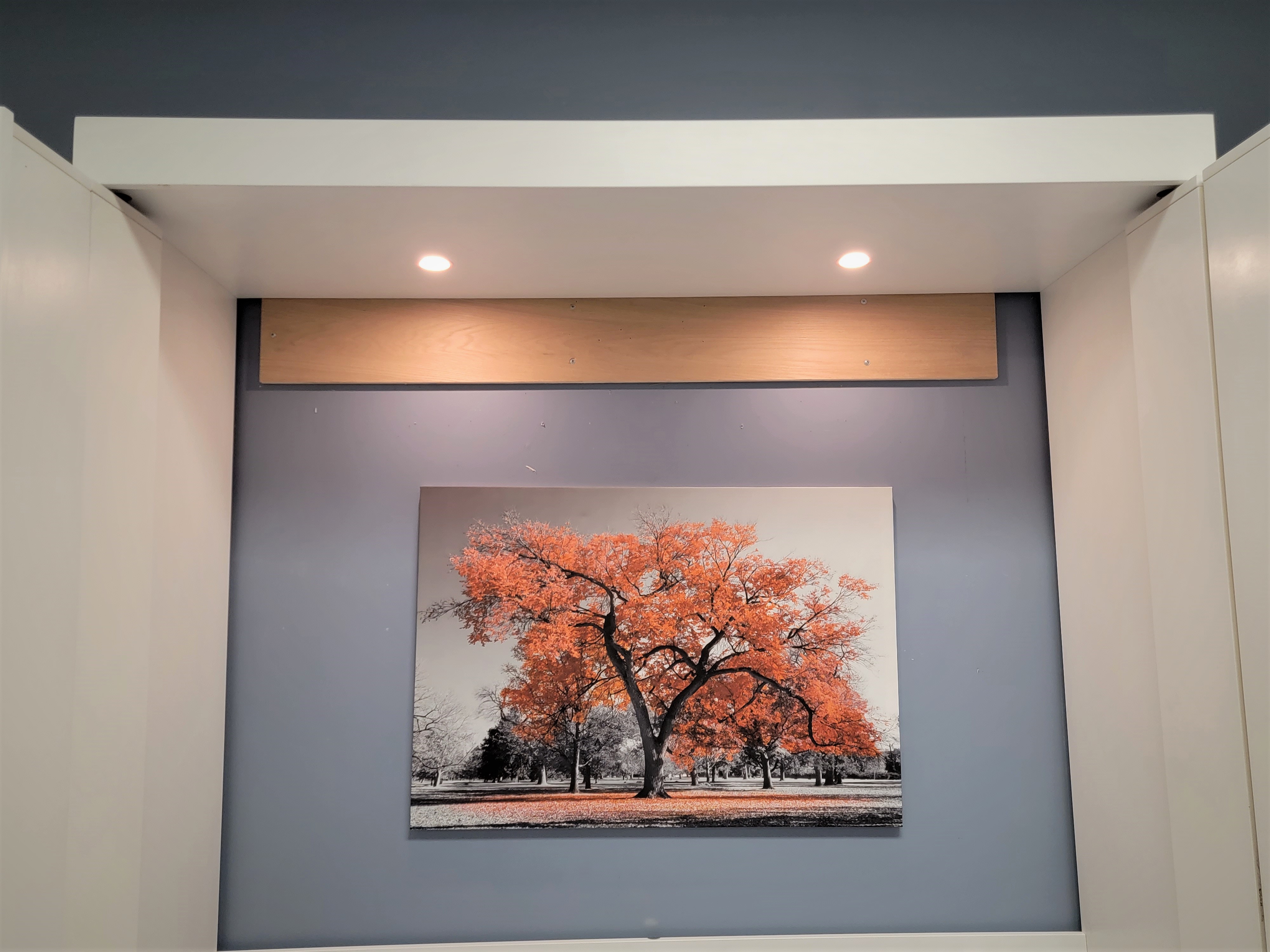 Pivoting Bookcase Murphy Bed LED Inset Murphy Bed Lights